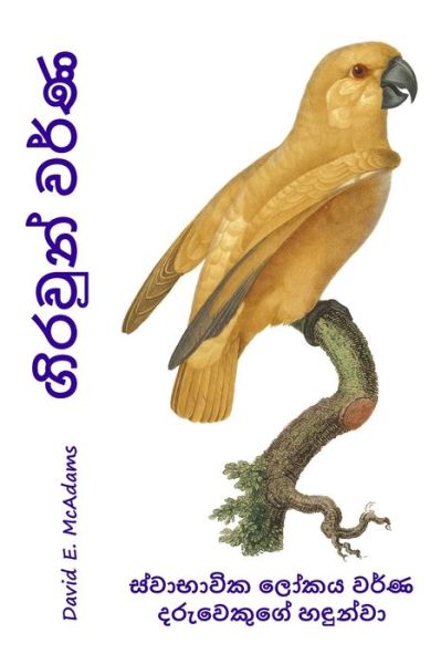 Cover for David E. McAdams · &amp;#3484; &amp;#3538; &amp;#3515; &amp;#3520; &amp;#3540; &amp;#3505; &amp;#3530; &amp;#3520; &amp;#3515; &amp;#3530; &amp;#3499; (Book) (2023)