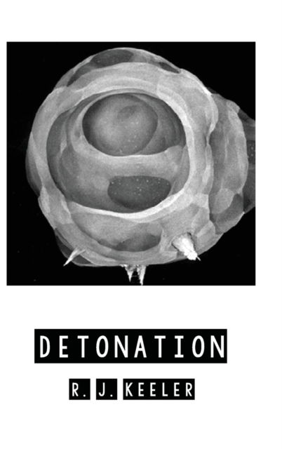 Detonation - R J Keeler - Livros - Resource Publications (CA) - 9781725257054 - 15 de janeiro de 2020