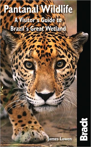 Cover for James Lowen · Pantanal Wildlife: A Visitor's Guide to Brazil's Great Wetland (Paperback Book) [1. wydanie] (2010)