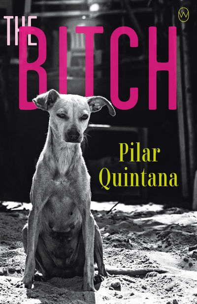 Cover for Pilar Quintana · The Bitch (Paperback Book) (2020)