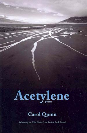 Cover for Carol Quinn · Acetylene (Book) [1st edition] (2010)