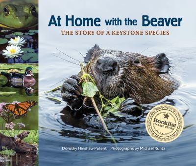 At Home with the Beaver: A Story of a Keystone Species - Dorothy Hinshaw Patent - Books - Web of Life Children's Books - 9781970039054 - May 4, 2023