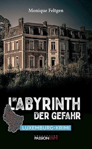 Monique Feltgen · Im Labyrinth der Gefahr (Book) (2021)