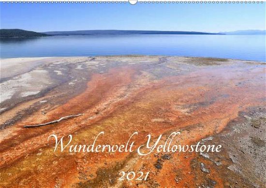 Cover for Anders · Wunderwelt Yellowstone 2021 (Wan (Bog)