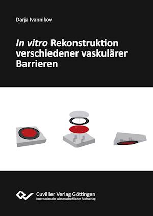 Cover for Darja Ivannikov · In vitro Rekonstruktion verschiedener vaskulärer Barrieren (Paperback Book) (2016)
