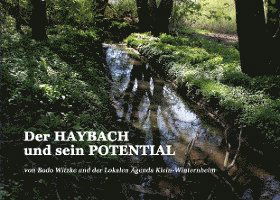 Cover for Bodo Witzke · Der HAYBACH und sein POTENTIAL (Paperback Book) (2021)