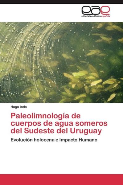 Cover for Inda Hugo · Paleolimnologia De Cuerpos De Agua Someros Del Sudeste Del Uruguay (Taschenbuch) (2011)