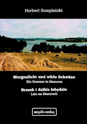Cover for Herbert Somplatzki · Morgenlicht und wilde Schwäne - Brzask i dzikie tabedzie (Paperback Book) (2000)