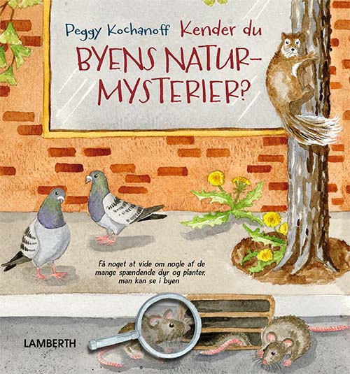 Cover for Peggy Kochanoff · Kender du byens naturmysterier? (Bound Book) [1st edition] (2022)