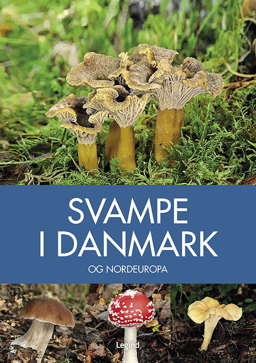 Naturguide: Svampe i Danmark - Josephine Bacon - Books - Legind - 9788775370054 - April 7, 2021