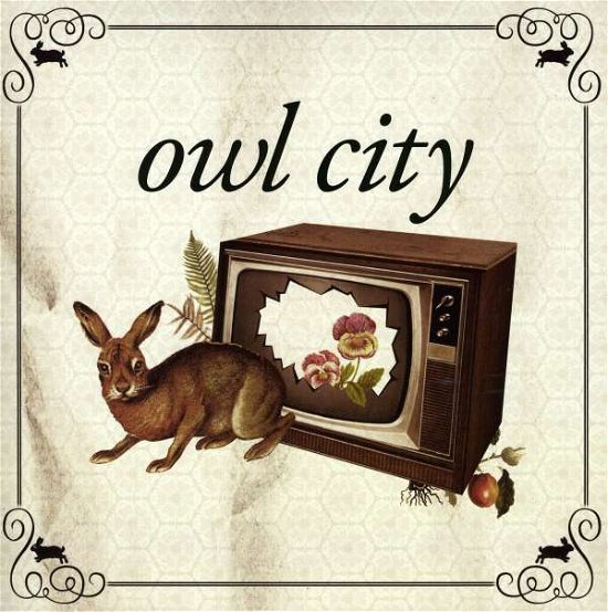 Cover for Owl City · Owl City Record Store Day (7&quot;) (2010)