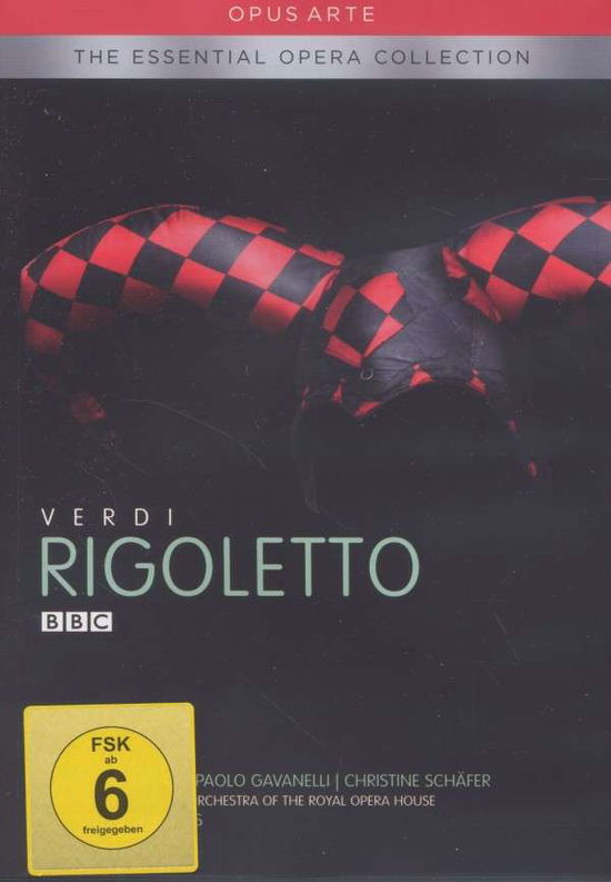 Cover for Verdi / Gavanelli / Alvarez / Schaefer / Mcvicar · Rigoletto (DVD) (2013)