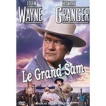 Wayne j - Le Grand Sam - Películas - FOX - 3344428011055 - 