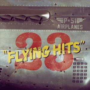 Cover for P-51 Airplanes · 23 Flying Hits (CD) (2021)