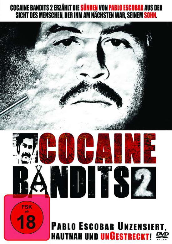 Cover for Cocaine Bandits 2 (DVD) (2012)