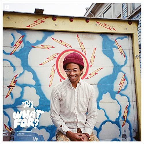 What For? - Toro Y Moi - Musik - ULTRA VYBE CO. - 4526180495055 - 18. januar 2020