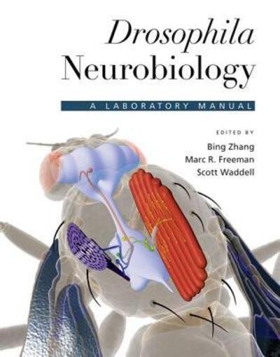 Cover for Bing Zhang · Drosophila Neurobiology: A Laboratory Manual (Paperback Book) (2010)