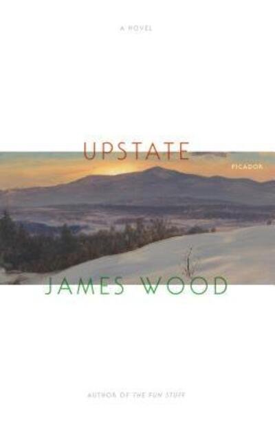 Cover for James Wood · Upstate: A Novel (Paperback Book) (2019)
