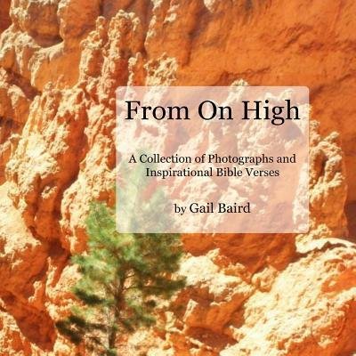 Cover for Gail Baird · From on High (Taschenbuch) (2015)