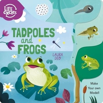 Cover for Annabel Savery · Life Cycles : Tadpoles and Frogs (Bok) (2022)
