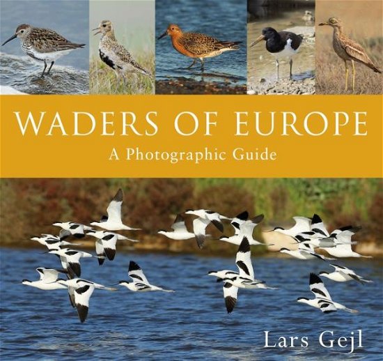 Cover for Lars Gejl · Waders of Europe (Innbunden bok) (2017)
