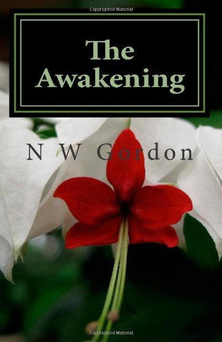 Cover for N W Gordon · The Awakening (Taschenbuch) (2012)