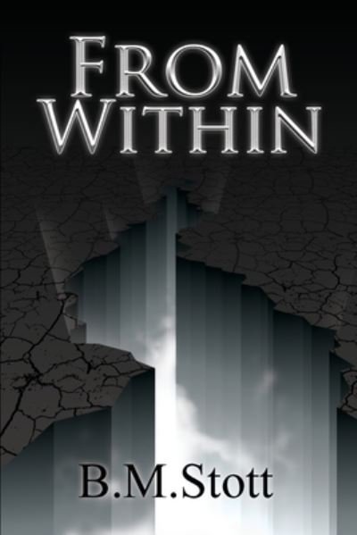 Cover for B M Stott · From Within (Paperback Bog) (2020)