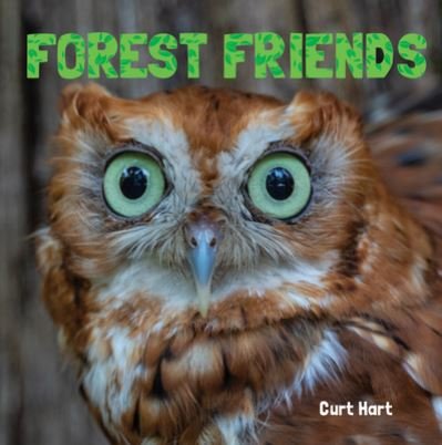 Cover for Curt Hart · Forest Friends (Kartongbok) (2022)