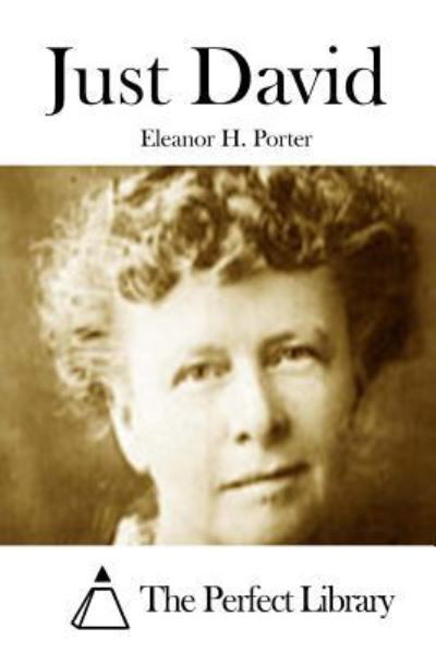 Just David - Eleanor H Porter - Livros - Createspace - 9781512227055 - 15 de maio de 2015