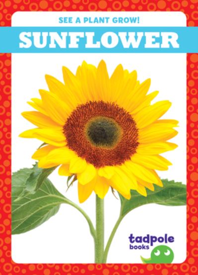 Sunflower - Gleisner - Other - Jump! Incorporated - 9781636907055 - August 1, 2022