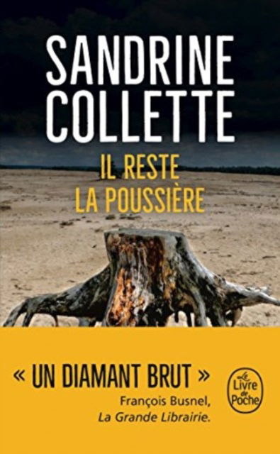 Cover for Sandrine Collette · Il reste la poussiere (Paperback Book) (2017)