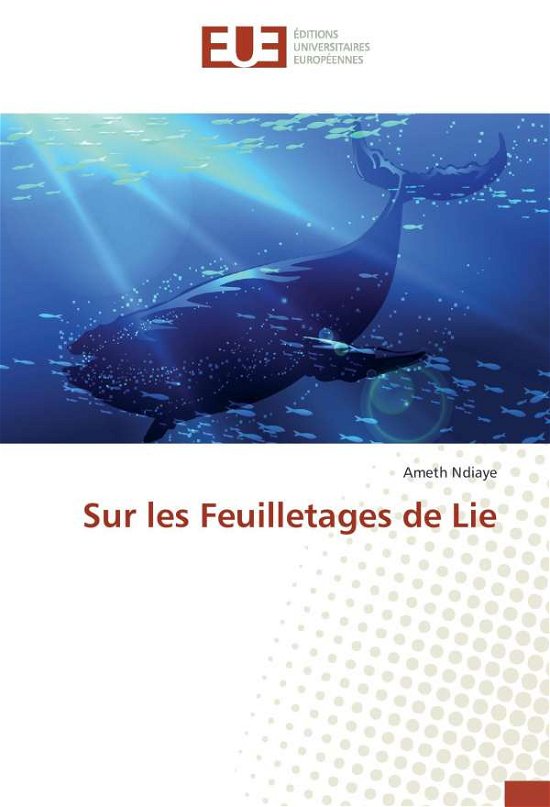 Cover for Ndiaye · Sur les Feuilletages de Lie (Book)