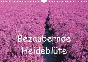 Cover for Valentino · Bezaubernde Heideblüte (Wandk (Bok)