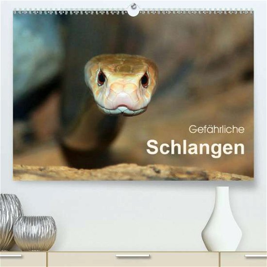 Cover for Herzog · Gefährliche Schlangen (Premium-K (Bog)