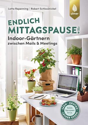 Cover for Lotta Repenning · Endlich Mittagspause! Indoor-Gärtnern zwischen Mails und Meetings mit Pflücksalat, Sprossen &amp; Co. (Paperback Book) (2022)