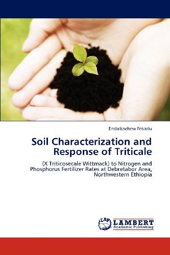 Cover for Endalkachew Fekadu · Soil Characterization and Response of Triticale: (X Triticosecale Wittmack) to Nitrogen and Phosphorus Fertilizer Rates at Debretabor Area, Northwestern Ethiopia (Paperback Bog) (2012)