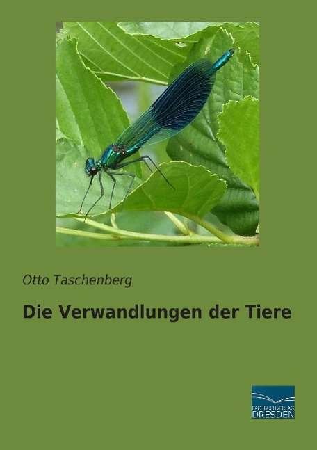 Cover for Taschenberg · Die Verwandlungen der Tiere (Bog)