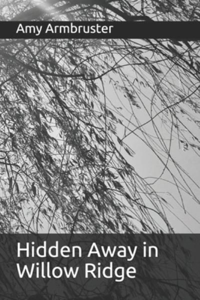 Cover for Amy Armbruster · Hidden Away in Willow Ridge (Taschenbuch) (2021)