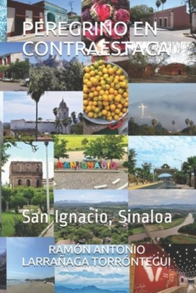 Cover for Ramon Antonio Larranaga Torrontegui · Peregrino En Contraestaca (Paperback Book) (2020)