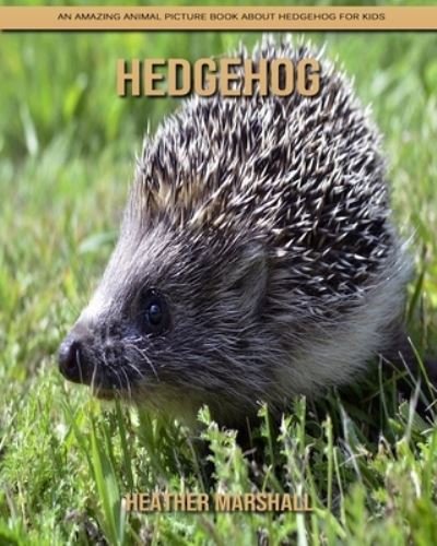 Cover for Heather Marshall · Hedgehog: An Amazing Animal Picture Book about Hedgehog for Kids (Paperback Book) (2021)