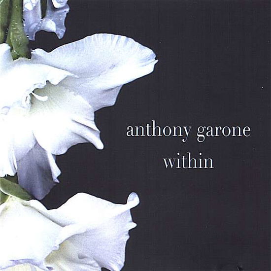 Within - Anthony Garone - Musiikki - Anthony Garone - 0634479471056 - tiistai 13. helmikuuta 2007