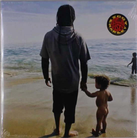 Cover for Ziggy Marley · Rebellion Rises (LP) (2018)