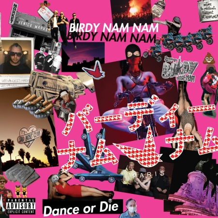 Cover for Birdy Nam Nam · &quot;Birdy Nam Nam &quot;&quot;Dance Or Die&quot;&quot;&quot; (CD) (2018)