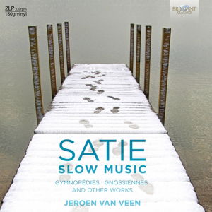 Cover for Jeroen van Veen · Slow Music-Gymnopedies, Gnossiennes And Other Works (LP) (2014)