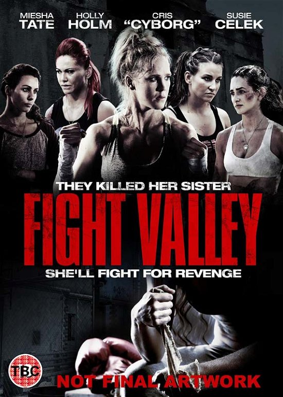 Cover for Fox · Fight Valley (DVD) (2016)
