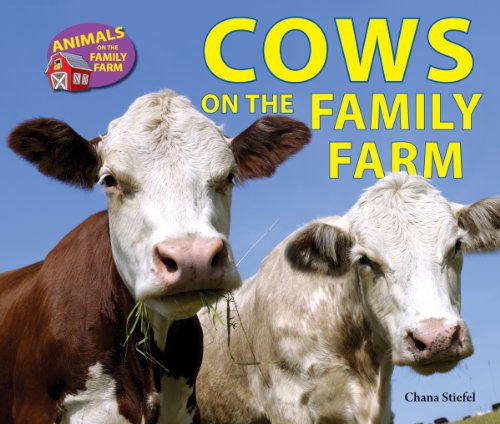 Cover for Chana Stiefel · Cows on the Family Farm (Animals on the Family Farm) (Hardcover Book) (2013)