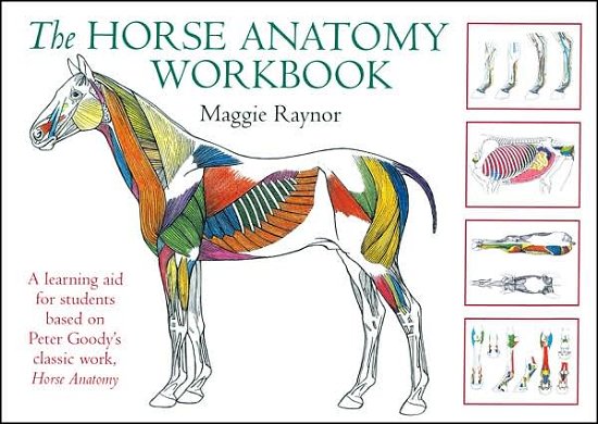 Cover for Maggie Raynor · Horse Anatomy Workbook: A Learning Aid for Students Based on Peter Goody's Classic Work, Horse Anatomy (Spiralbuch) (2006)