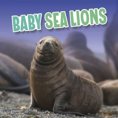 Cover for Martha E. H. Rustad · Baby Sea Lions - Baby Animals (Hardcover Book) (2022)