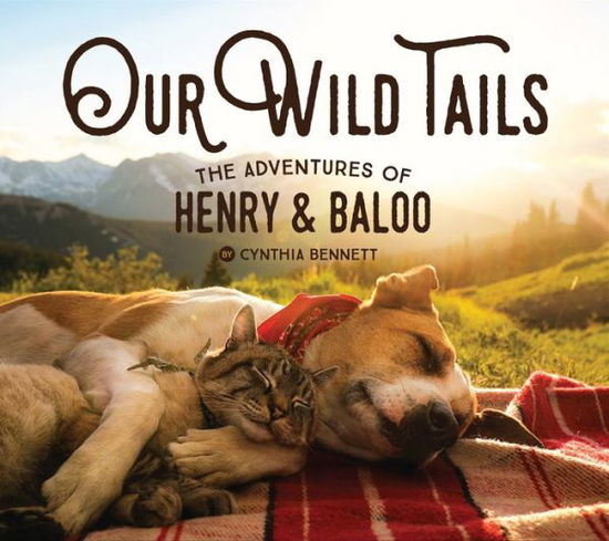 Our Wild Tails: The Adventures of Henry and Baloo - Cynthia Bennett - Książki - Gibbs M. Smith Inc - 9781423654056 - 8 września 2020