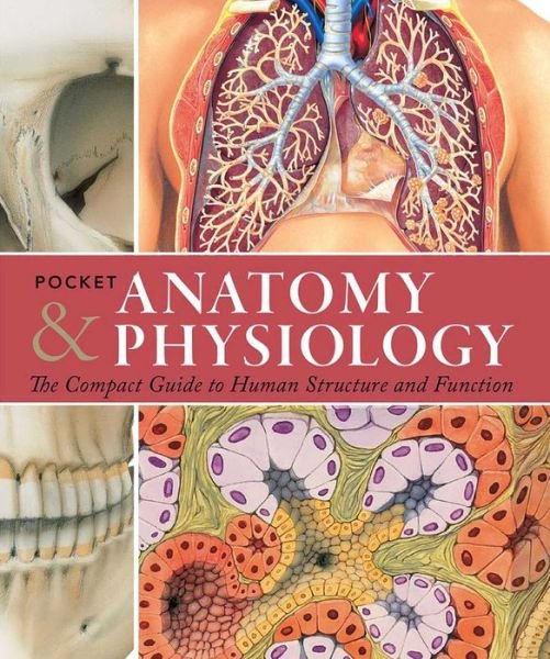 Cover for Ken Ashwell · Pocket Anatomy &amp; Physiology: The Compact Guide to the Human Body and How It Works (Paperback Book) (2016)